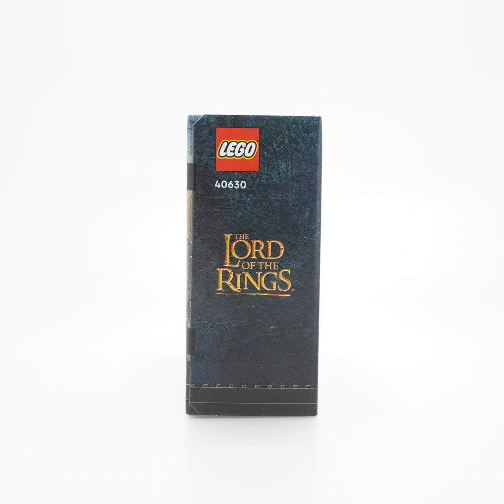 LEGO® Frodo & Gollum 40630