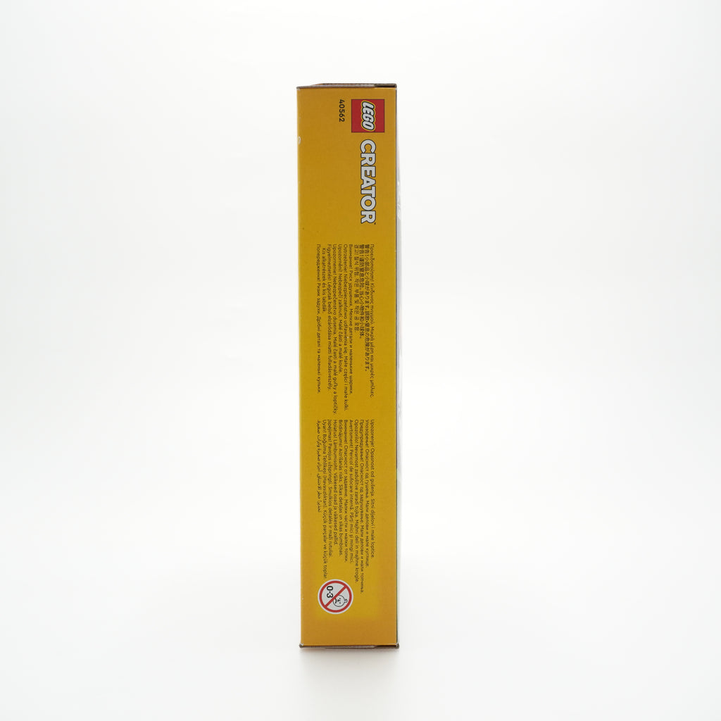 LEGO® Müstiline nõid 40562