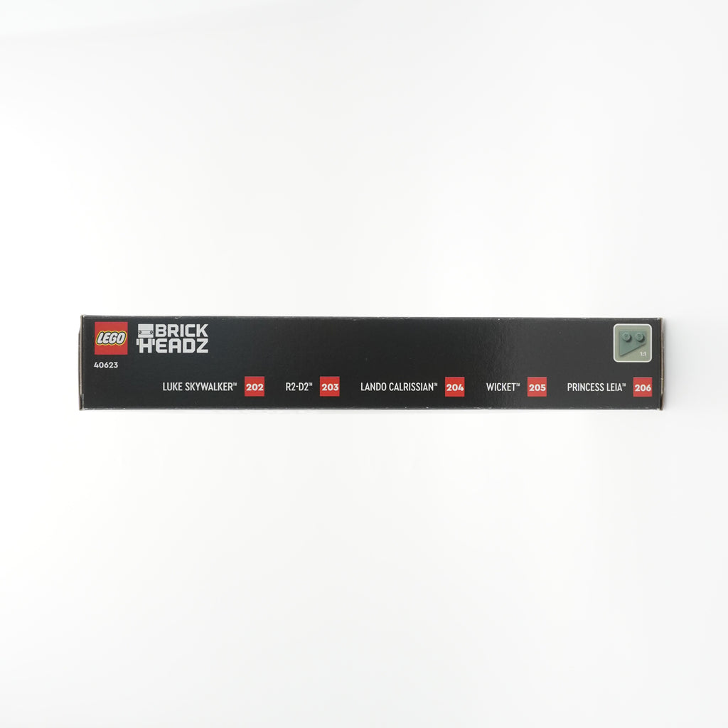 LEGO® Endori lahingu kangelased 40623